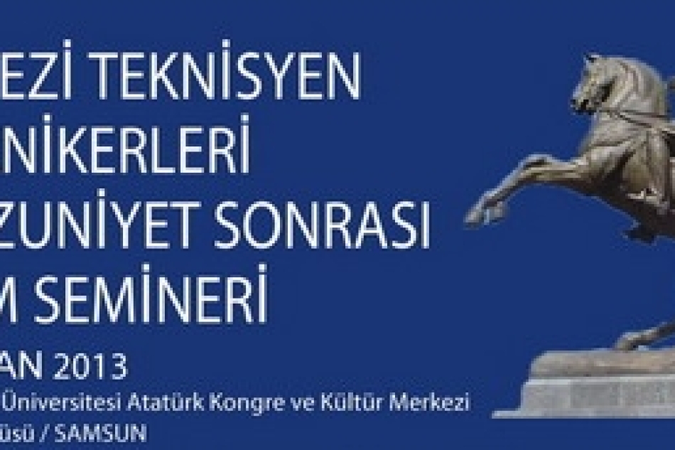 VI. Seminer